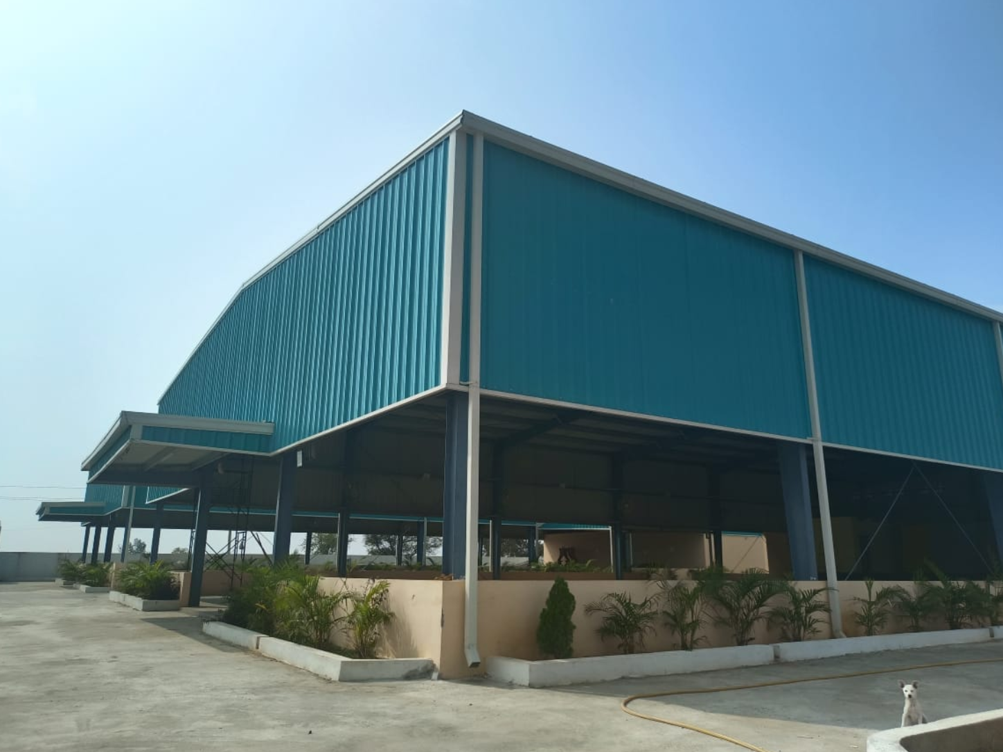Warangal